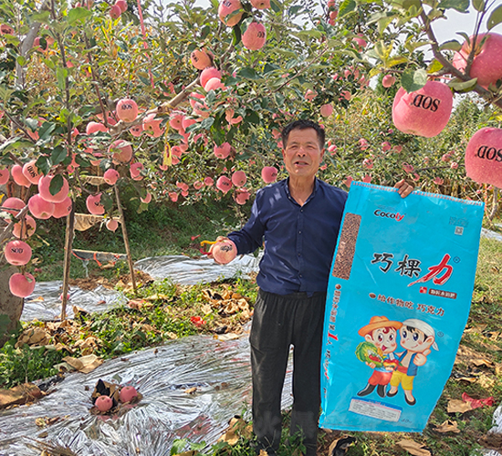 �ɿ����w��ˮ�ܷ������O���ϰ����D