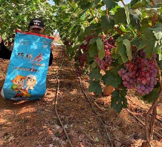 �ɿ����w��ˮ�ܷ����������ϰ����D