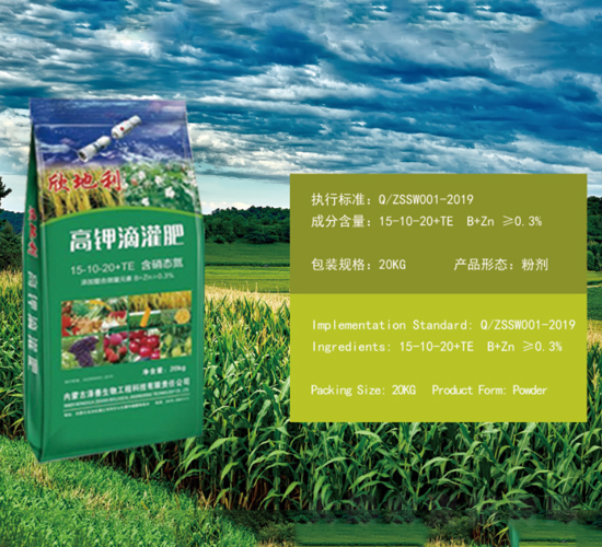 ��⛵ι��-������-��������