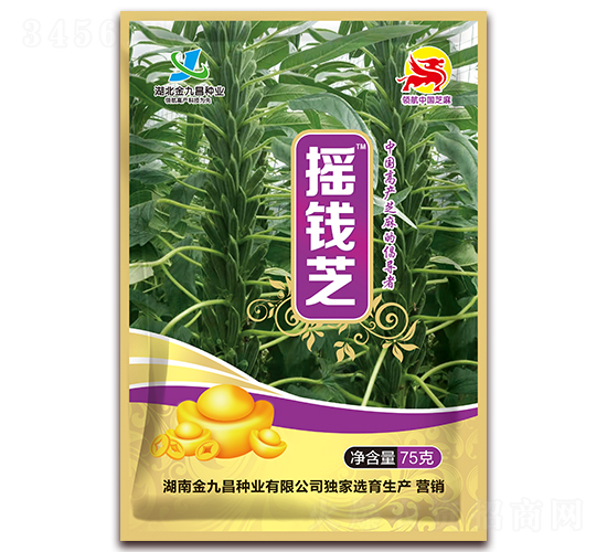 �u�X֥-֥��N��-��Ų�