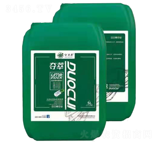 �Z��-���l(w��i)��-�����h(yu��n)