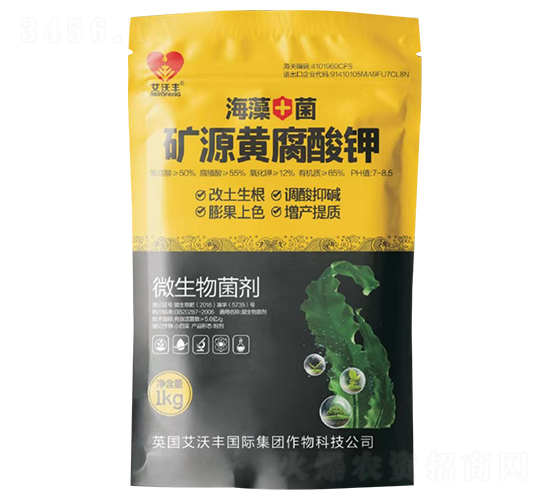 �VԴ�S�����-�����S