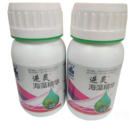 ���徫�A-���`-������(l��)