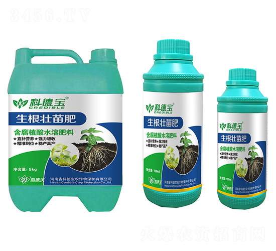 ���������-�Ƶ�