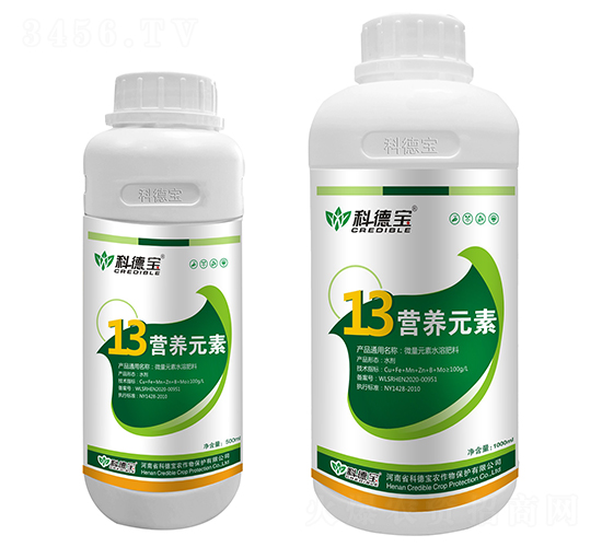 13�I�B(y��ng)Ԫ��-�Ƶ�