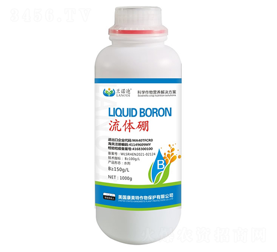 ���w��-�m�Z��-������