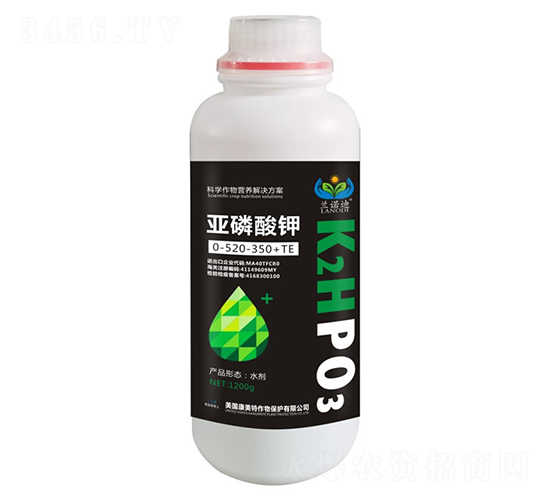 �������0-520-350+TE-�m�Z��-������