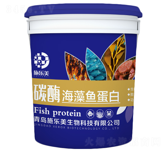 ̼ø�����~����-ʩ����