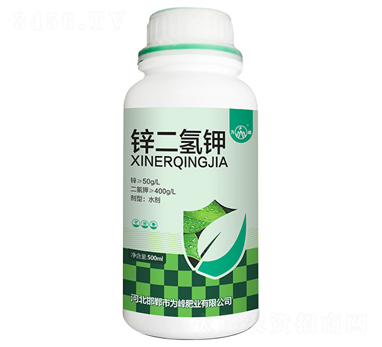 �\�����-���ʘI(y��)