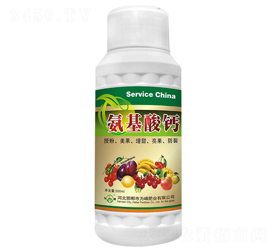 �������}-���ʘI(y��)