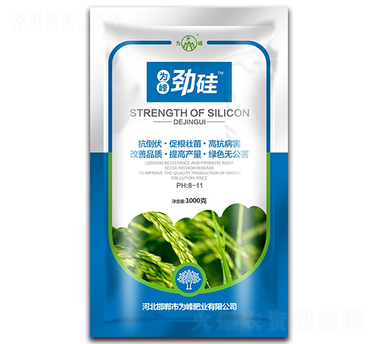 �Ź�-���ʘI(y��)