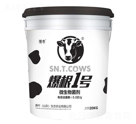 ΢�������-����1̖(h��o)-�vţ