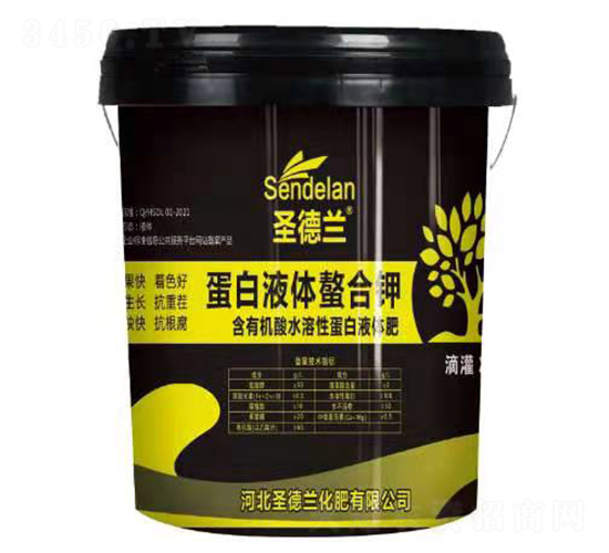 ����Һ�w�����-ʥ���m