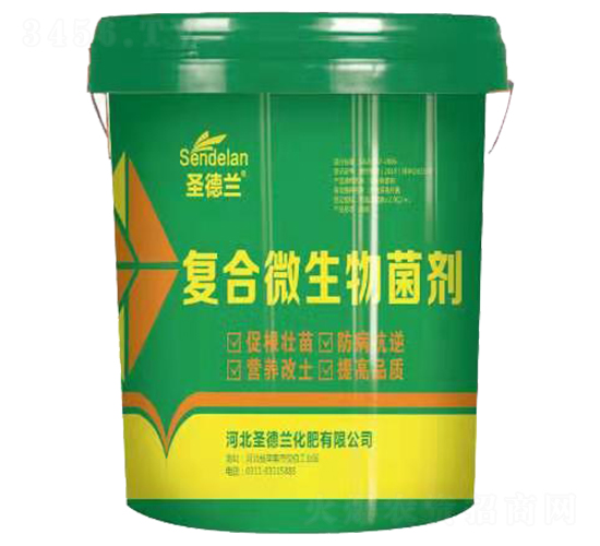 ��(f��)��΢�������-ʥ���m