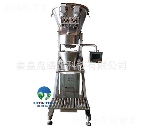 ���w�Q-·��Ƽ�