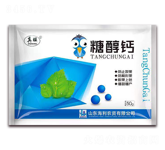 �Ǵ��}-����-�����S