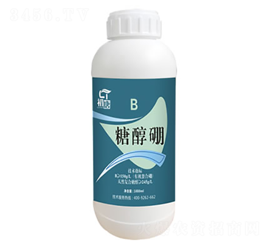 �Ǵ���-����-�֮��