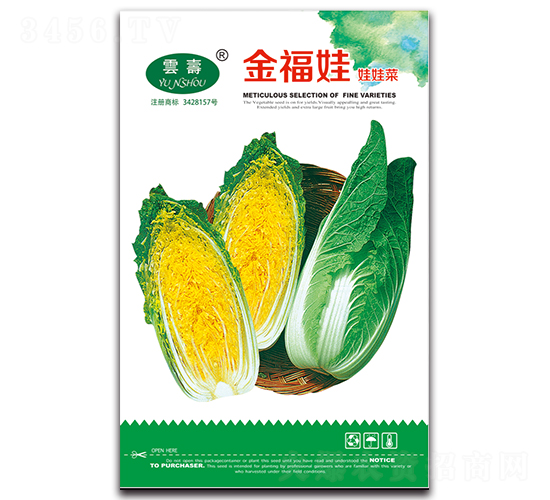 ����-���޲˷N��-�Ɖ�