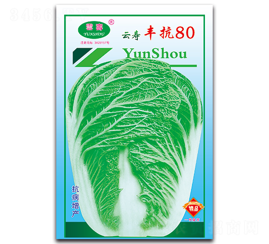 �Ɖ��S��80-�ײ˷N��-�Ɖ�