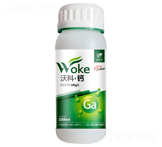 �ֿơ��}-������