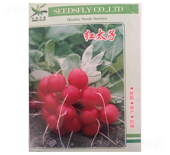 �t̫��-�}���N��-����N�I(y��)