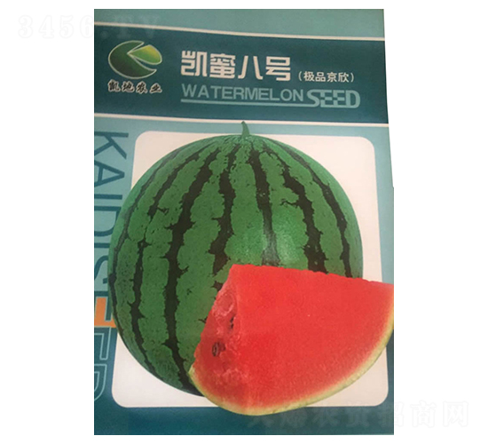 �P�۰�̖-���ϷN��-����N�I(y��)