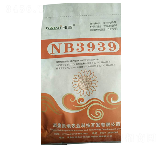 NB3939���տ��N��-����N�I(y��)