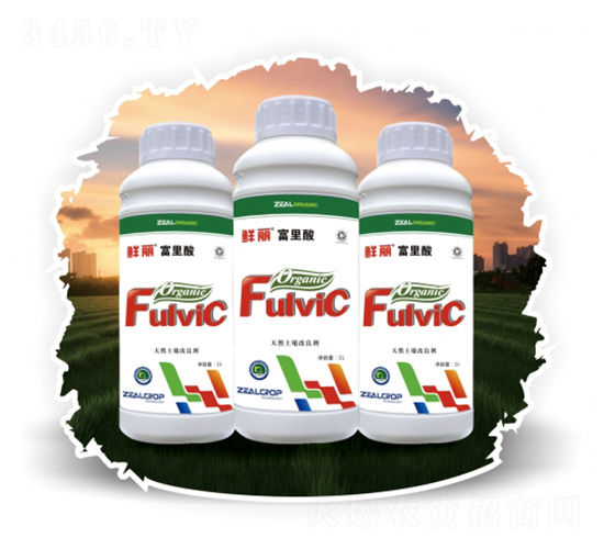 ��Ȼ����������-��������