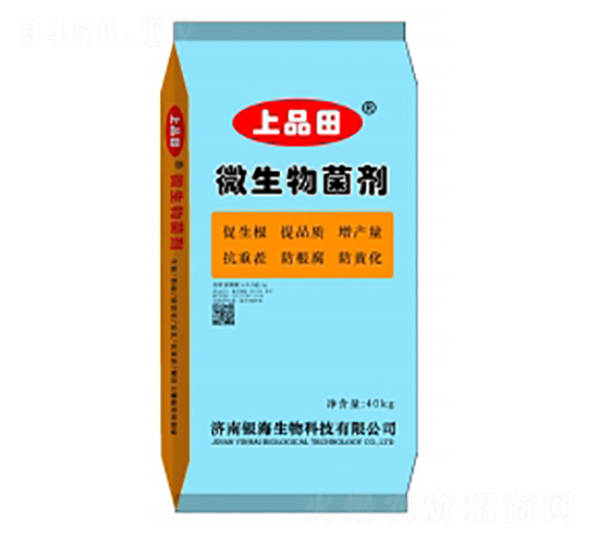 10�|΢�������-��Ʒ��-�y������