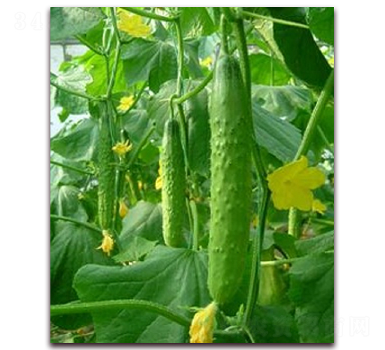 ���S2-�S�ϷN��-�r(n��ng)֮��