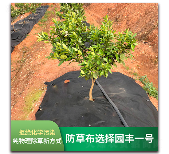 �����x��@�Sһ̖(h��o)