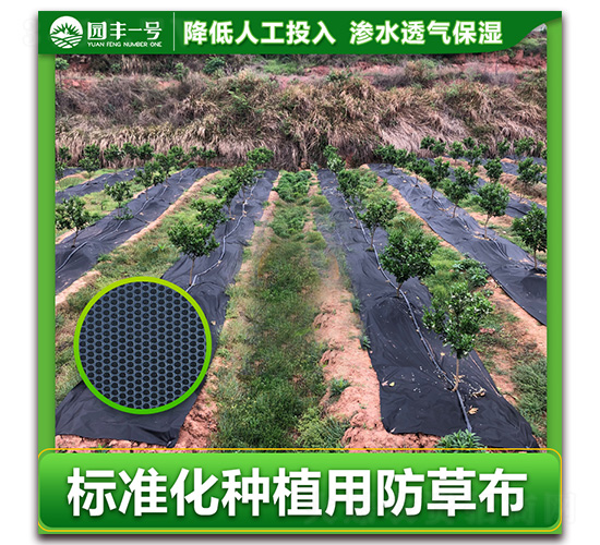 �˜ʻ��Nֲ�È@�Sһ̖���ݲ�