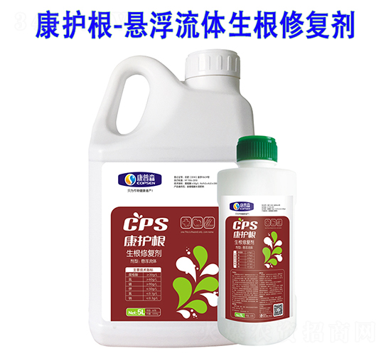 �����ޏ�(f��)��-���o(h��)��-����ɭ