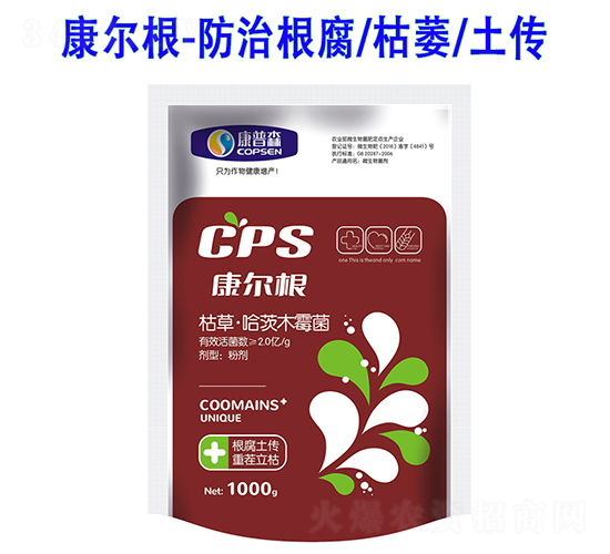 �ݲݡ�����ľù��-������-����ɭ