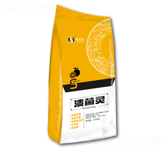 ΢�������-�����`-ʩؐ��