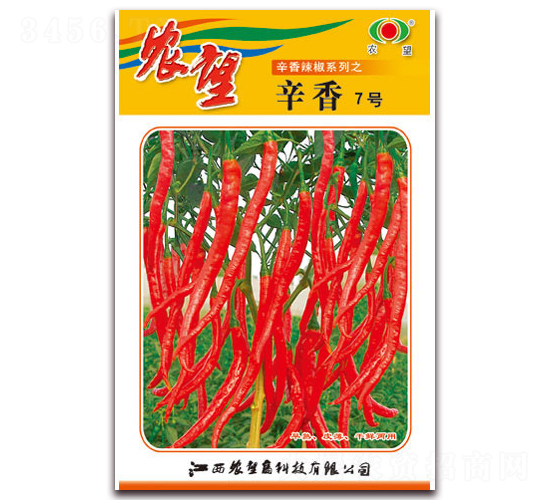 ����7̖-�����N��-�r(n��ng)��