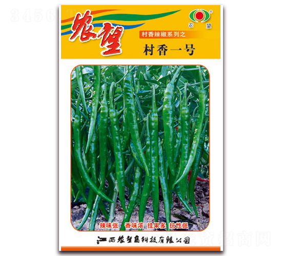 ����һ̖-�����N��-�r(n��ng)��