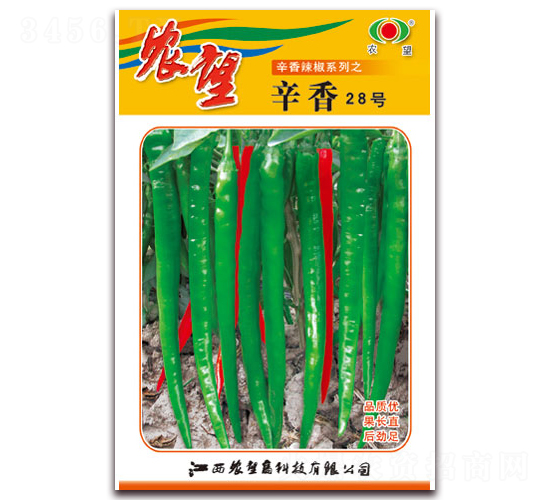 ����28̖(h��o)-�����N��-�r(n��ng)��