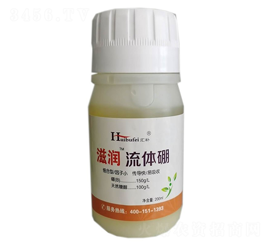 ���w��-�̝�-����