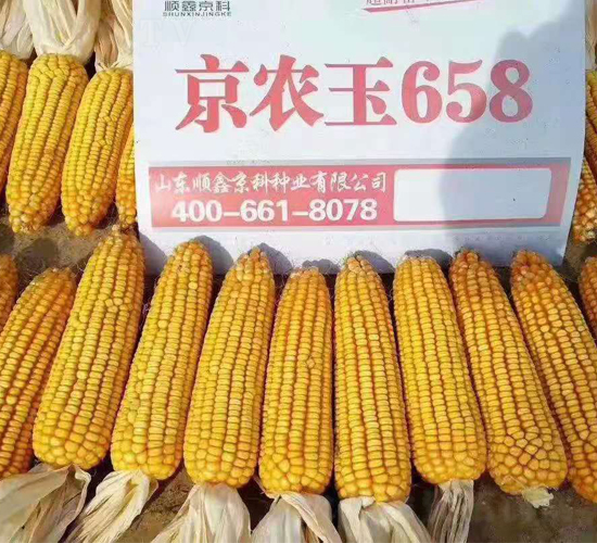 ���r(n��ng)��658-���׷N��-�r(n��ng)�