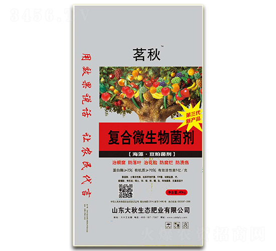 �������ͺ�΢�������-����