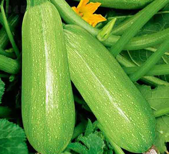 ����6�����J�N��-�r(n��ng)֮��(r��n)