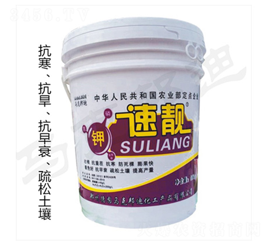 ���n-�R�˰��