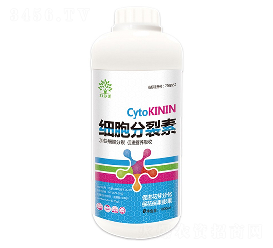 ��(x��)��������-������