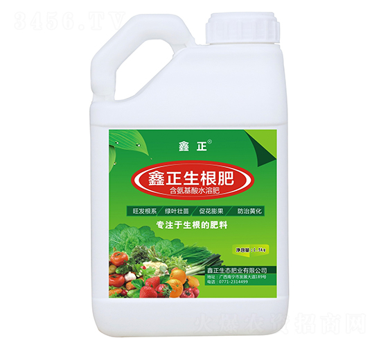 ����������-����