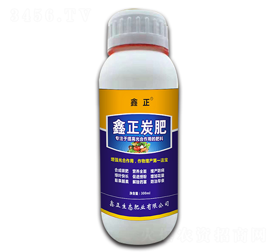 ����̿��-����