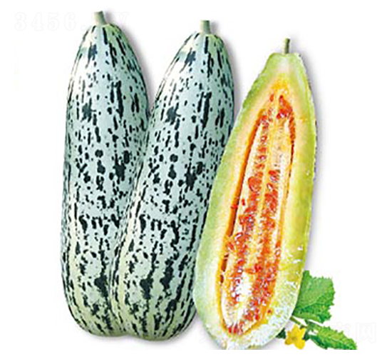 �����-��ϷN��-�߶˷N�I(y��)