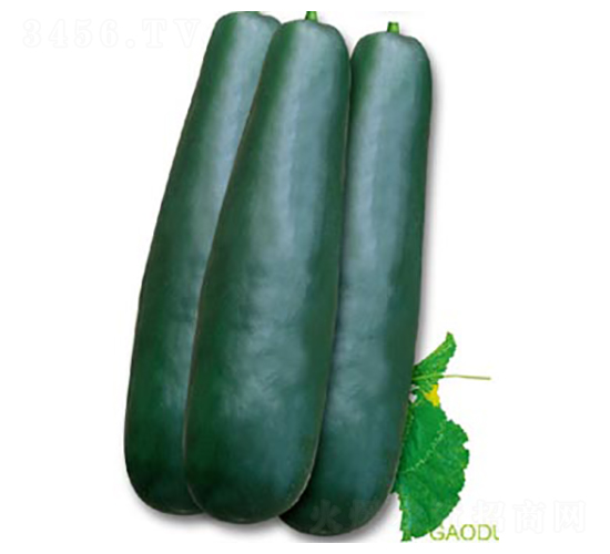 �ڴ���-��ϷN��-�߶˷N�I(y��)