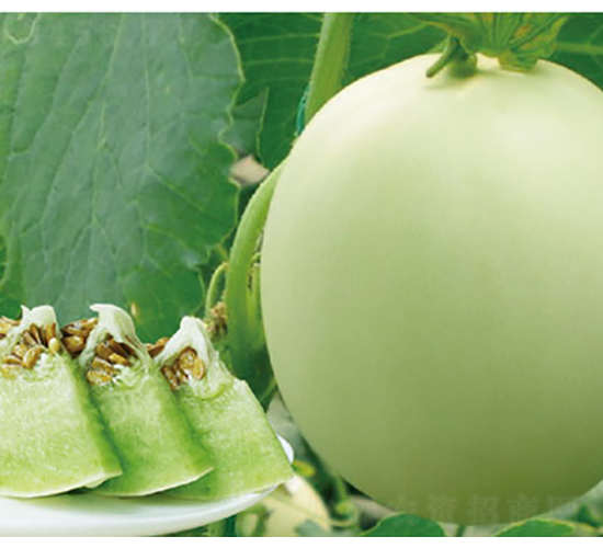 �߮a(ch��n)���-��ϷN��-�߶˷N�I(y��)