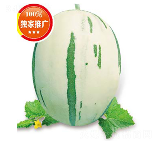 �¾G��-��ϷN��-�߶˷N�I(y��)